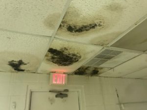 Damage Caused by Roof Leaks